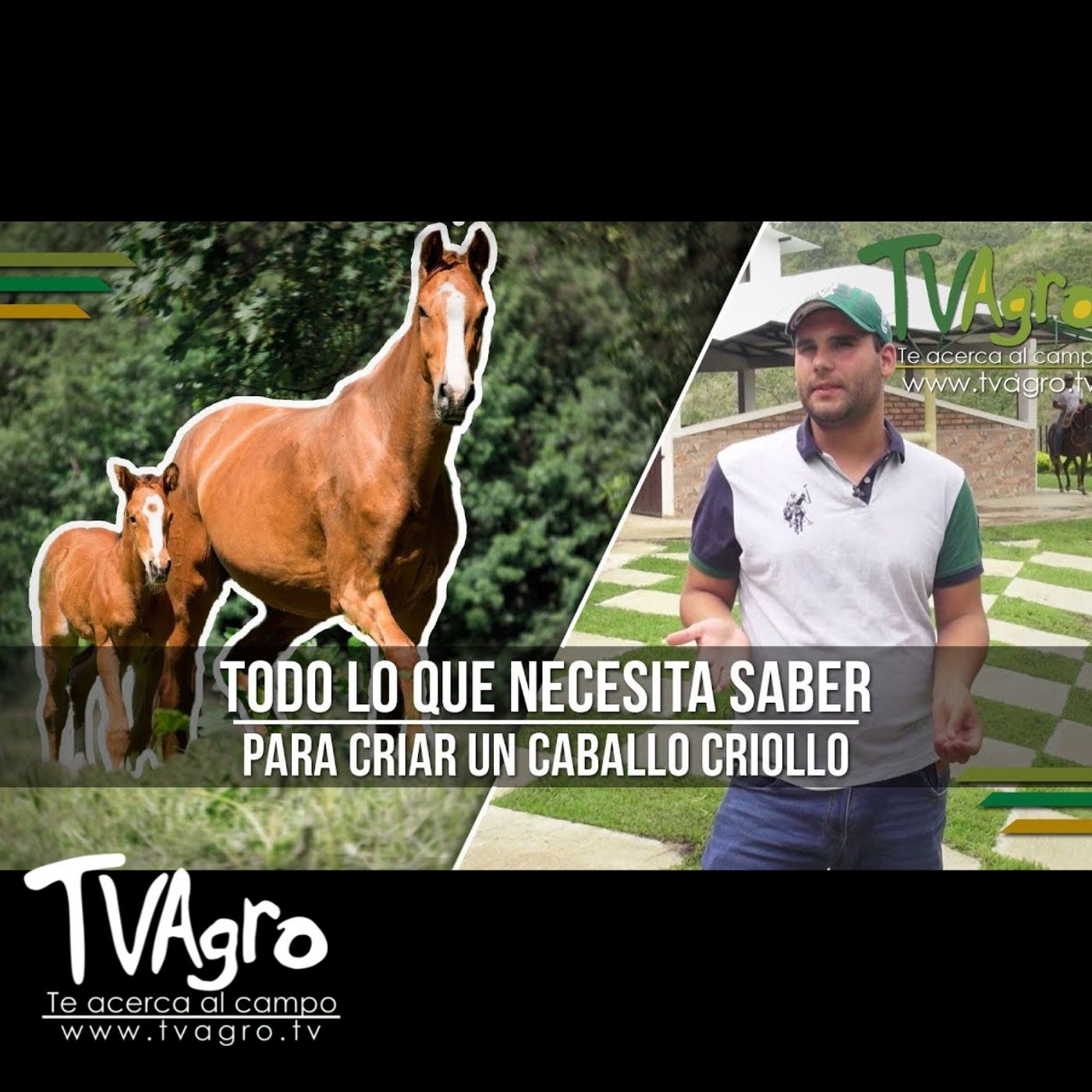 TV AGRO