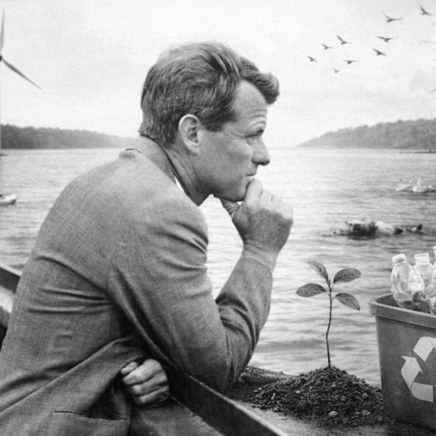 RFK - Scienze - Sostenibilità ambientale podcast artwork