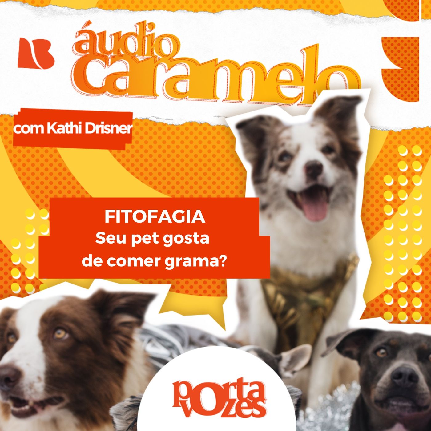 Seu pet come grama? | Áudio Caramelo episode artwork