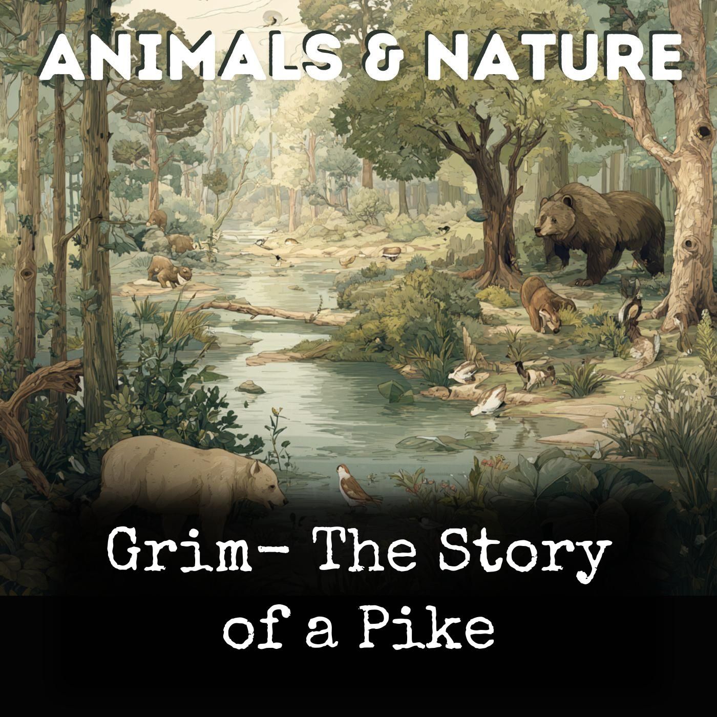 Grim- The Story of a Pike cover art