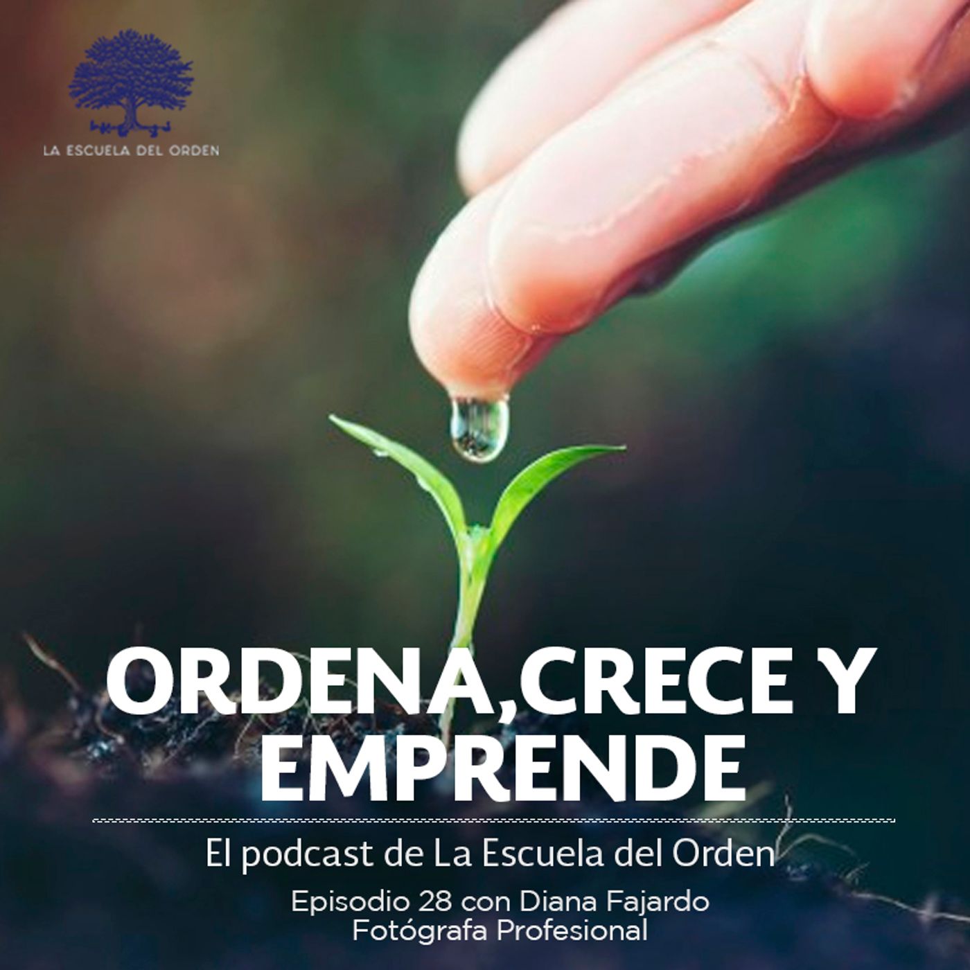 Ordena, crece y emprende