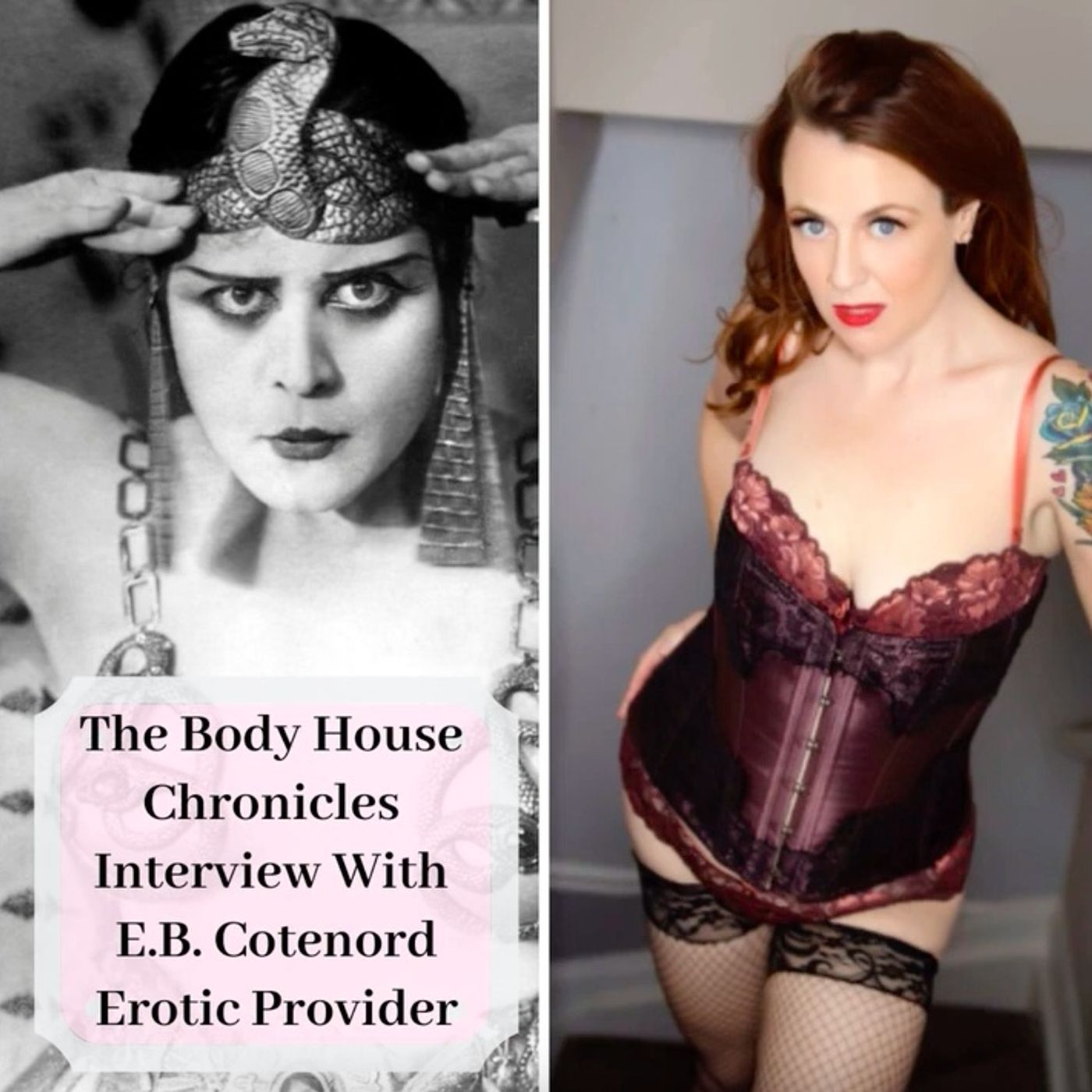 The Body House Chronicles