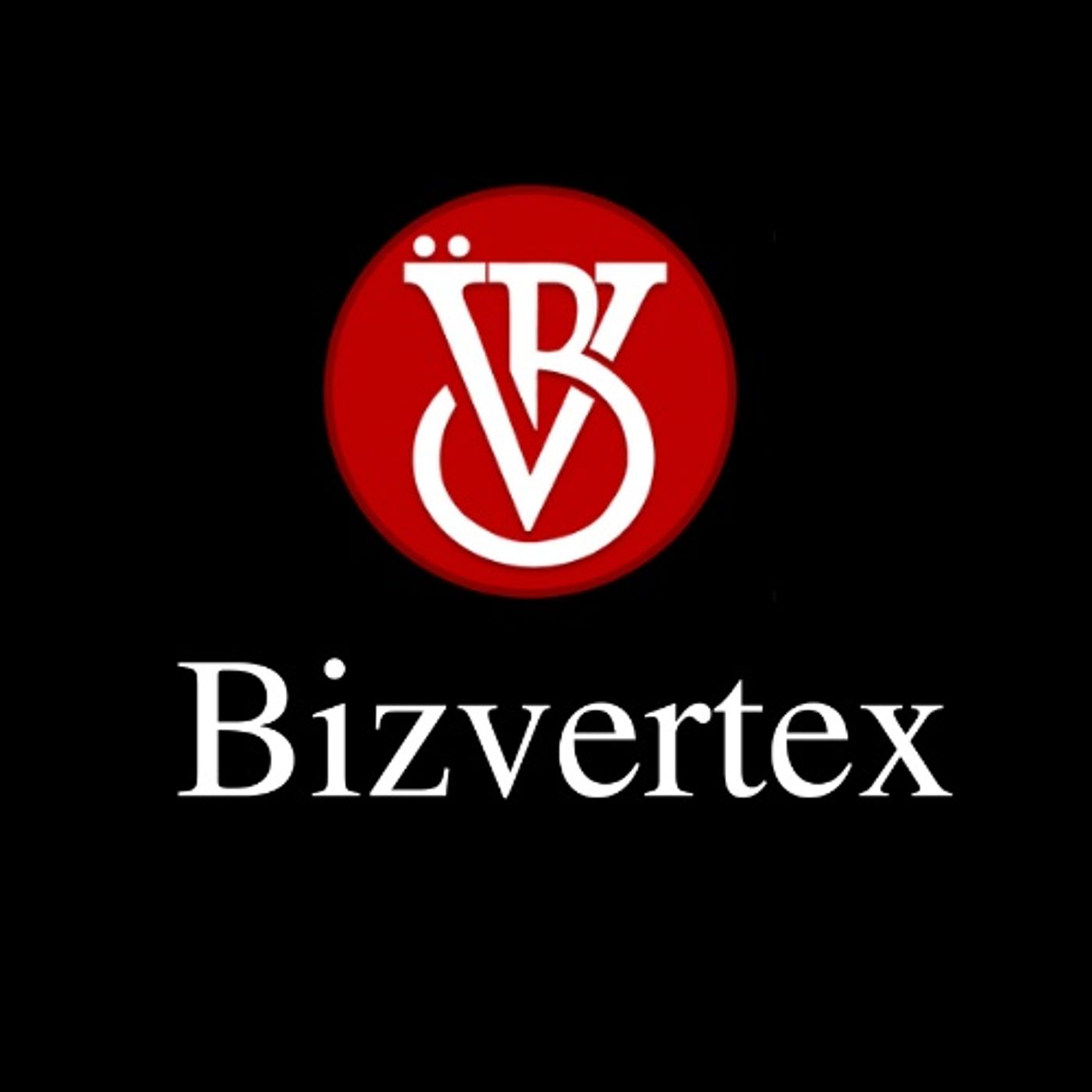 Bizvertex's Podcast podcast artwork