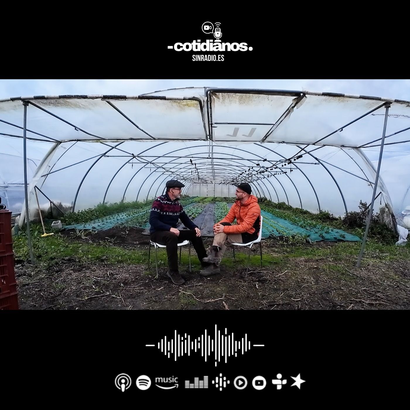 COTIDIANOS: Regenerando la Tierra desde Vitoria-Gasteiz con Joseba Vigalondo | Capítulo 48 | T3 episode artwork