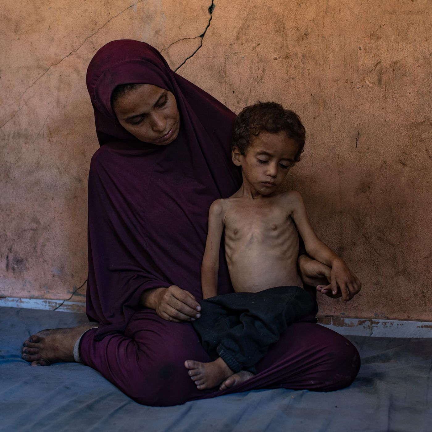 How will the UK’s recognition of Palestine help those starving in Gaza? episode artwork