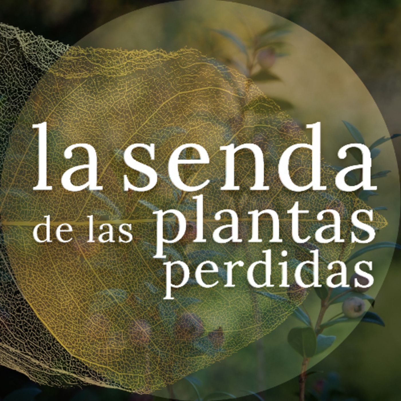 La Senda de las Plantas Perdidas