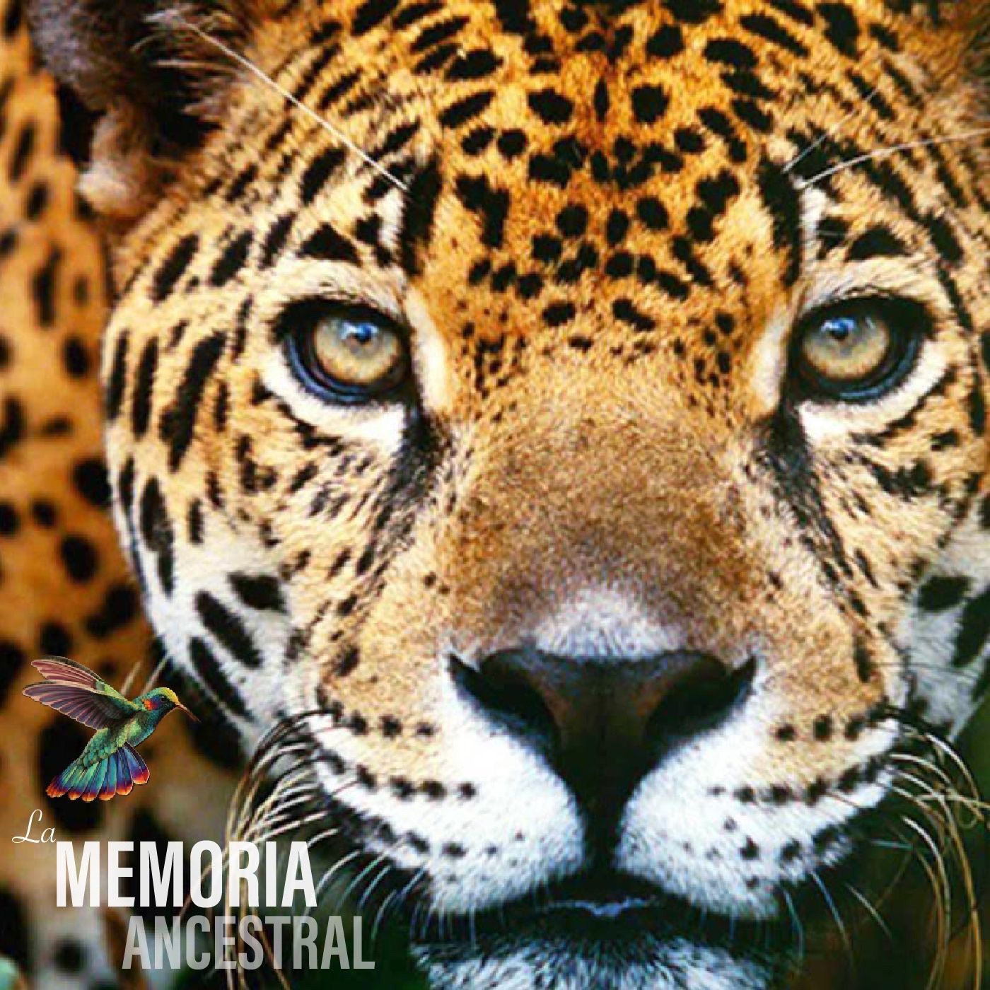 LA MEMORIA ANCESTRAL PODCAST podcast artwork