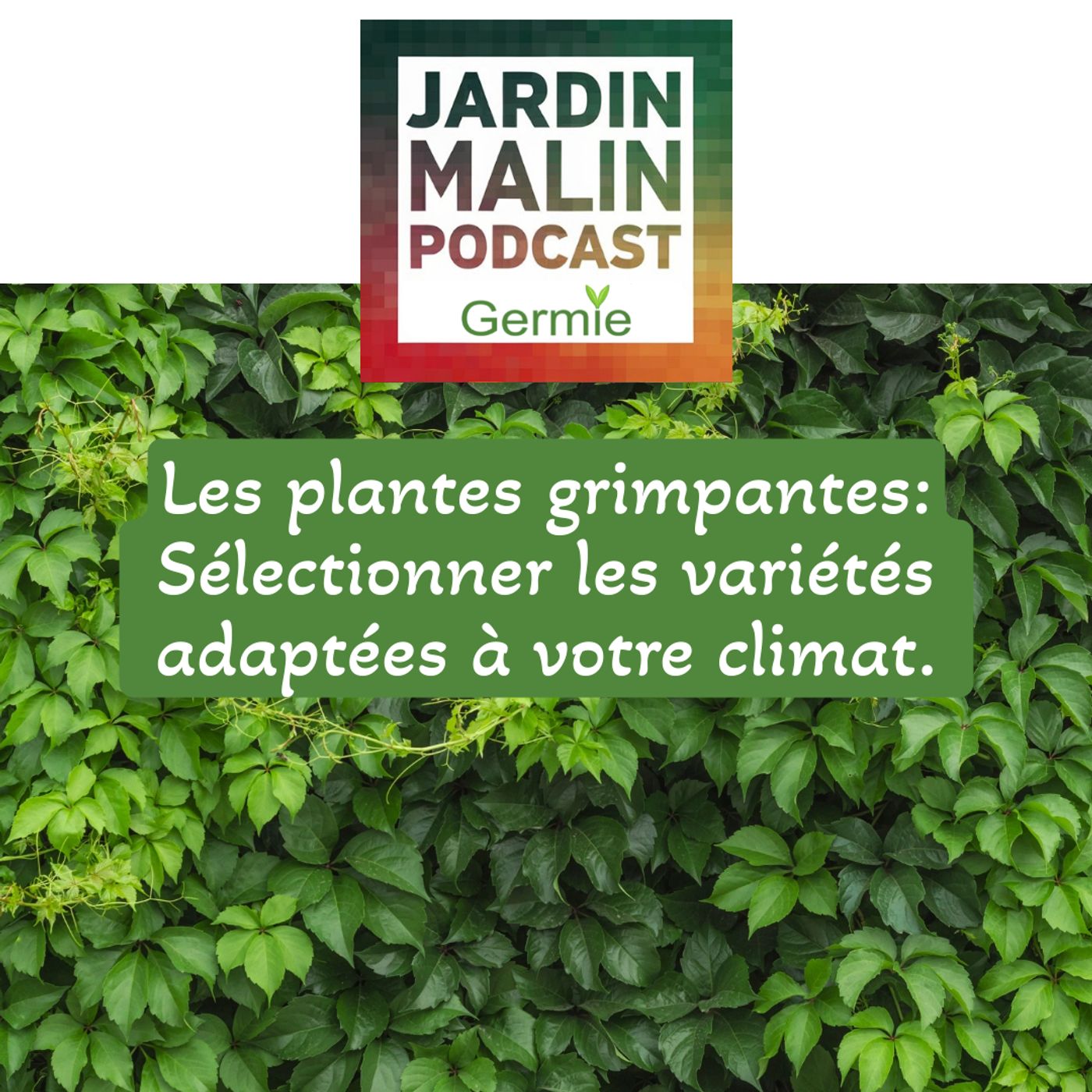 JARDIN MALIN by Germie