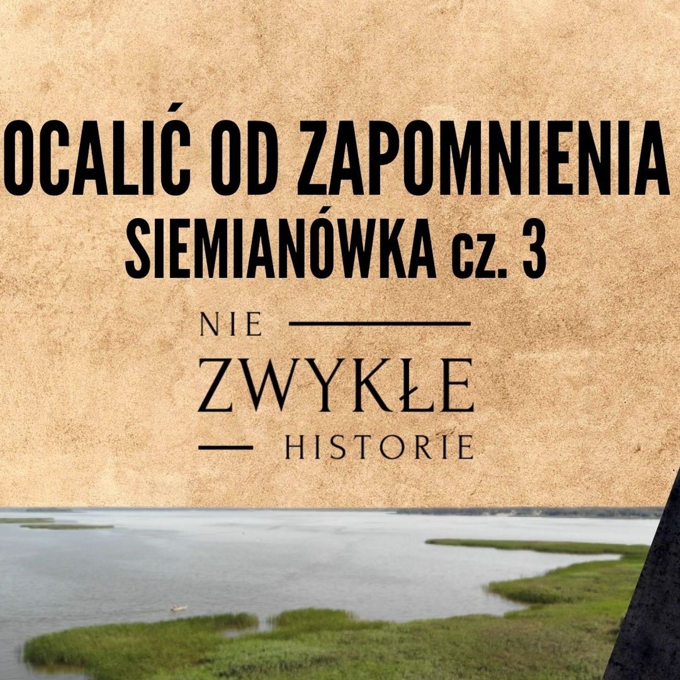 Zwykłe historie
