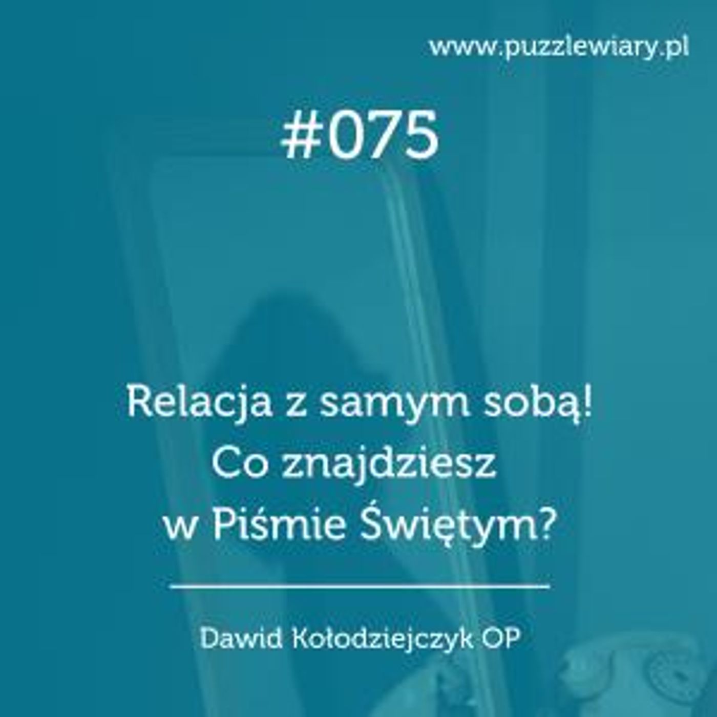 Puzzle Wiary