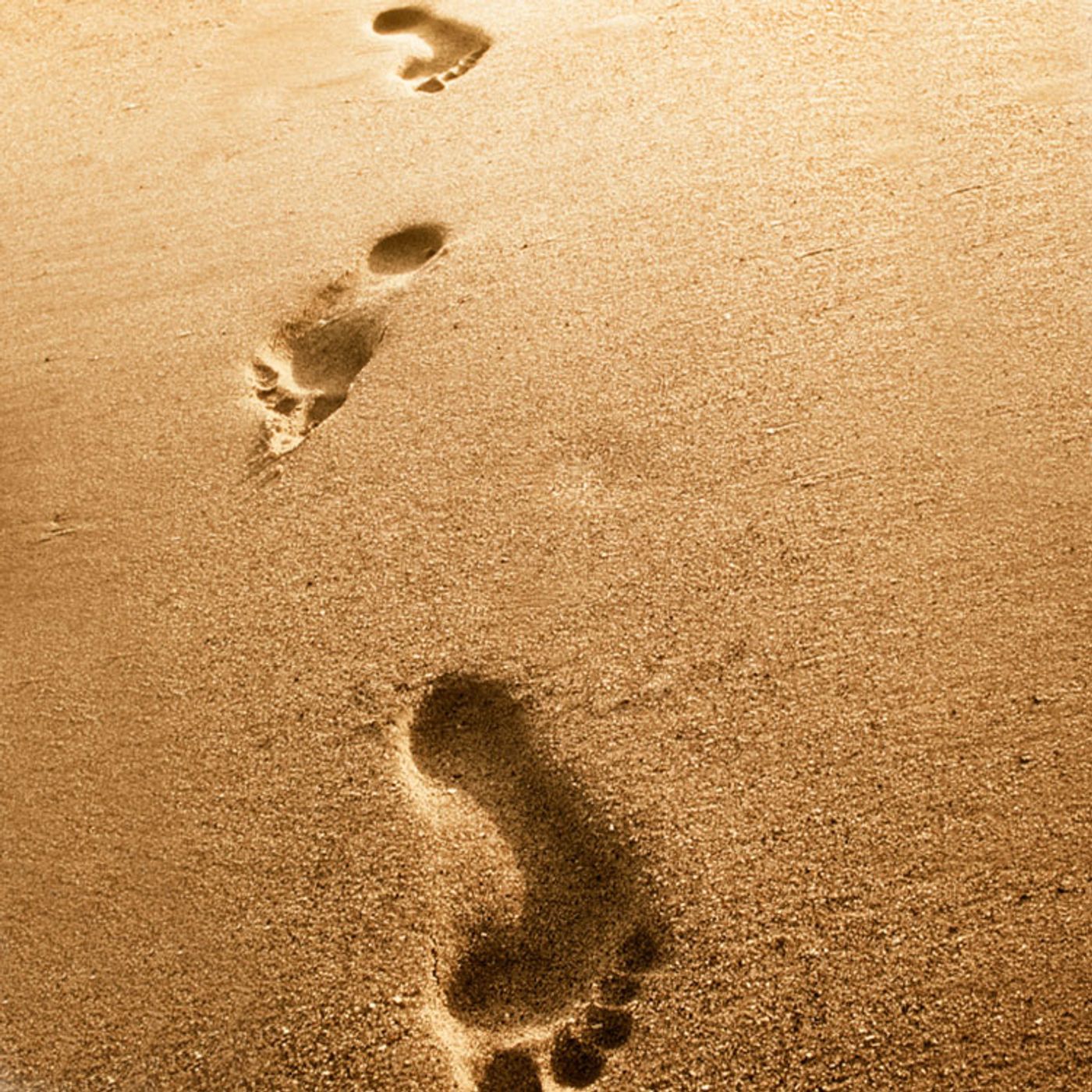 Siamo fatti di relazioni