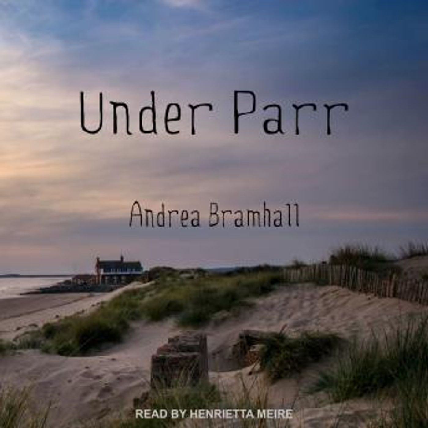 Full Trial Audiobooks in Mystery, Thriller & Horror, Police & Detective