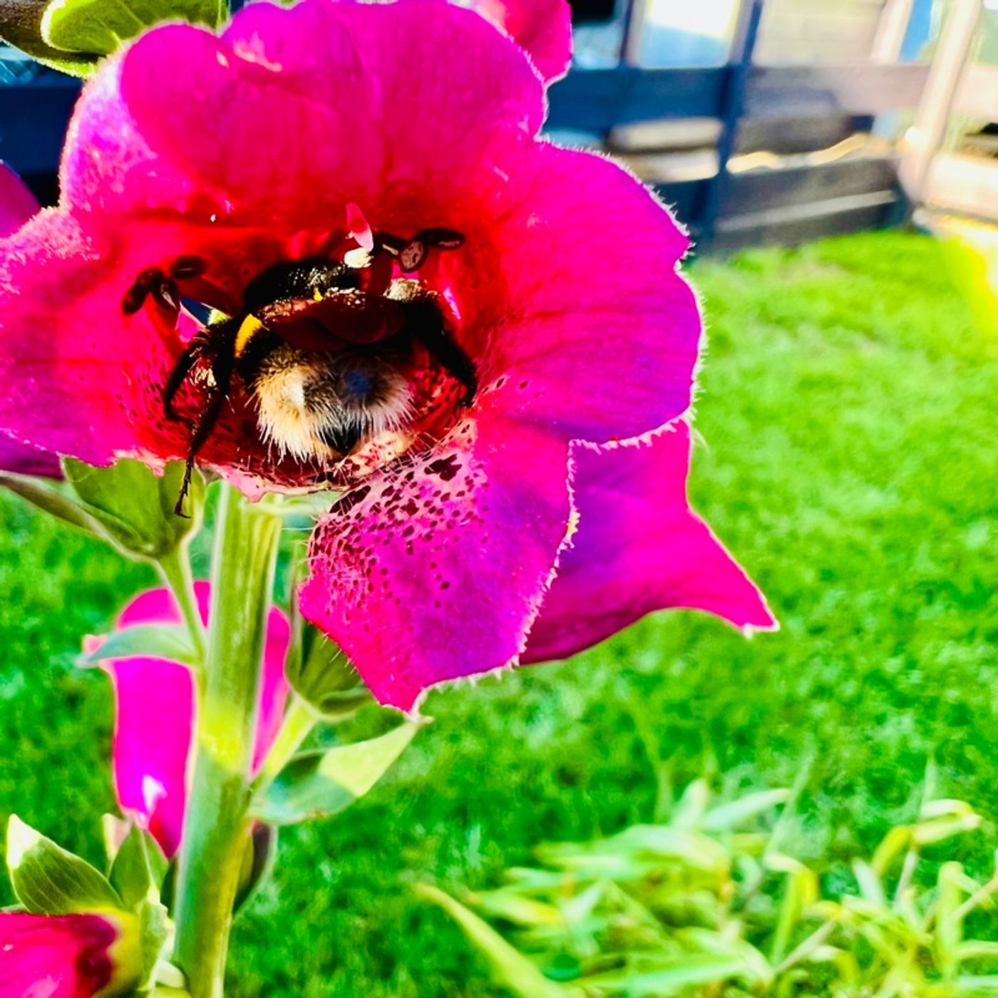 The Gentleman’s Talk