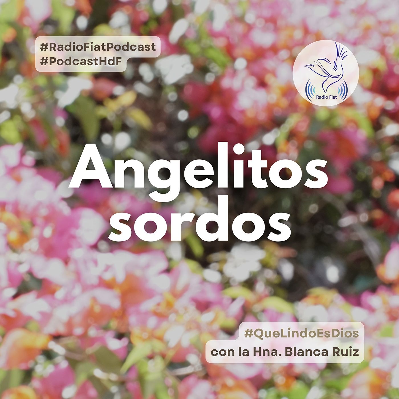 Que lindo es Dios - Angelitos sordos episode artwork