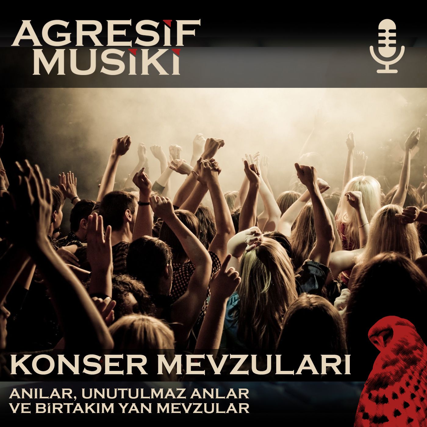 Agresif Musiki