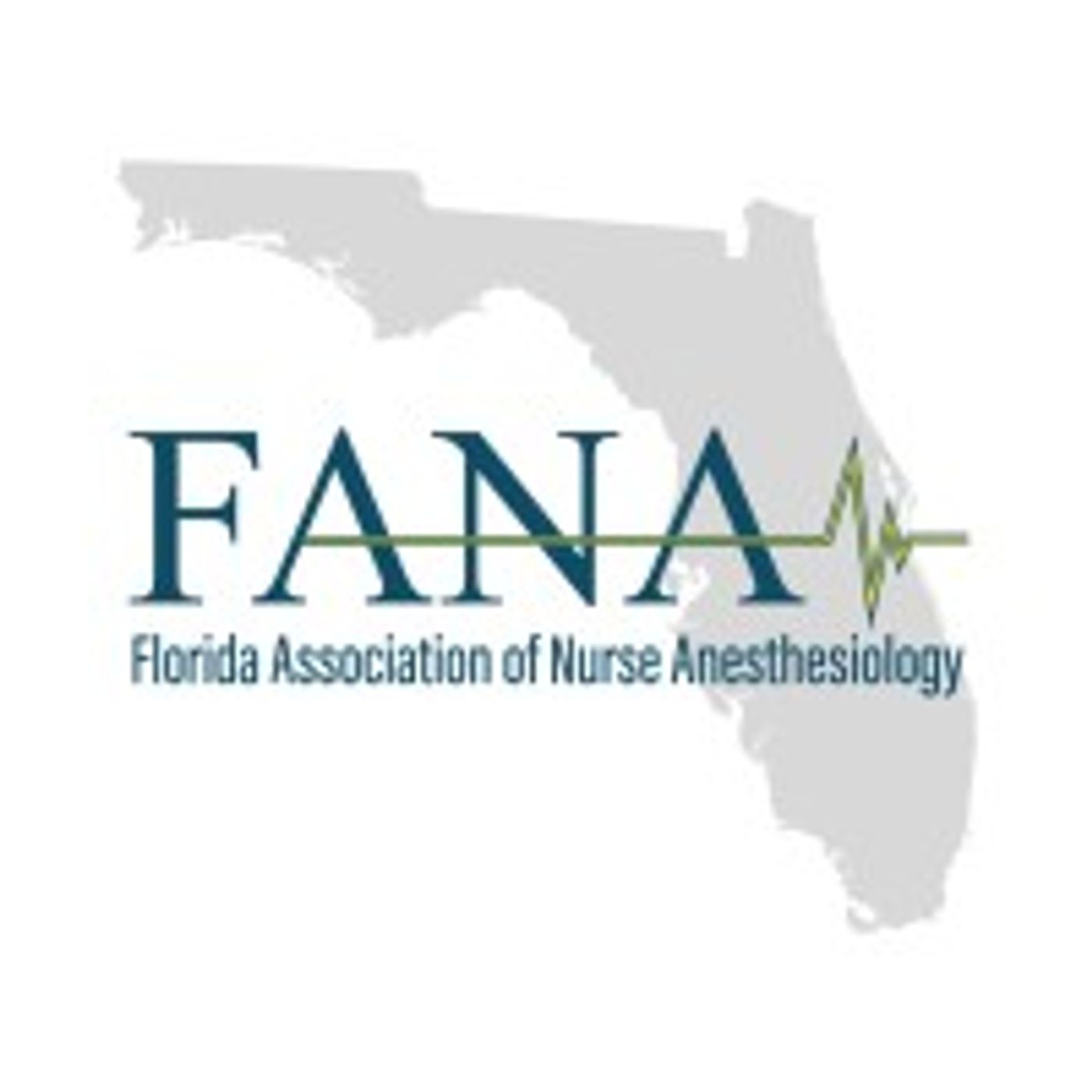 Michelle Canale With Florida Association of Nurse Anesthesiology