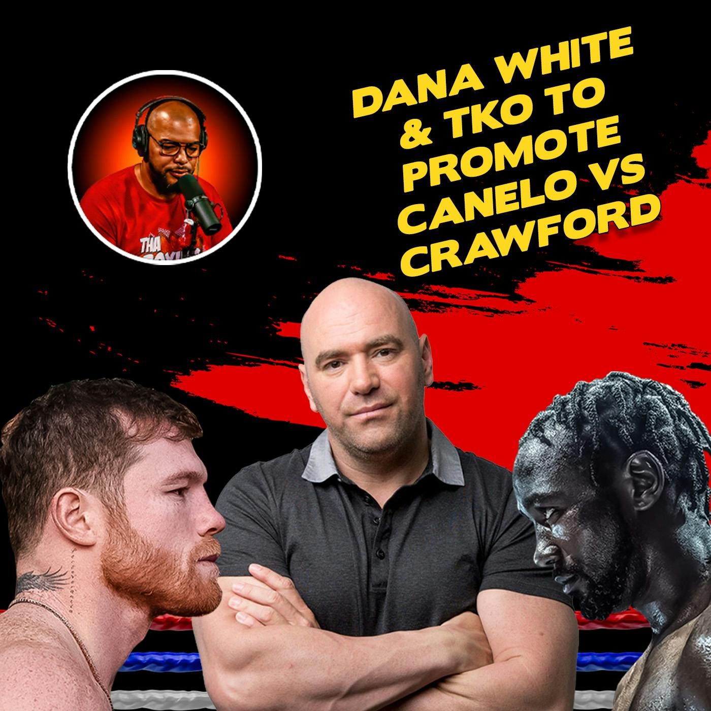 ☎️Canelo vs. Crawford: Dana White’s TKO Gamble or Boxing’s Biggest Rip-Off❓ episode artwork
