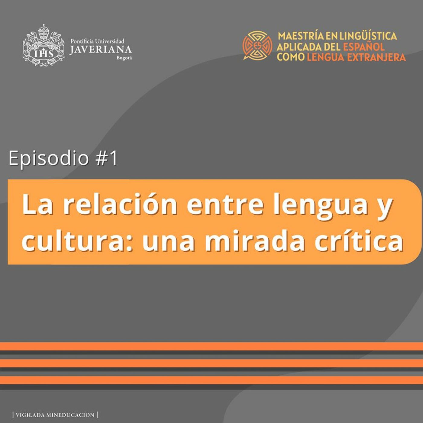 La relación entre lengua y cultura: una mirada crítica episode artwork