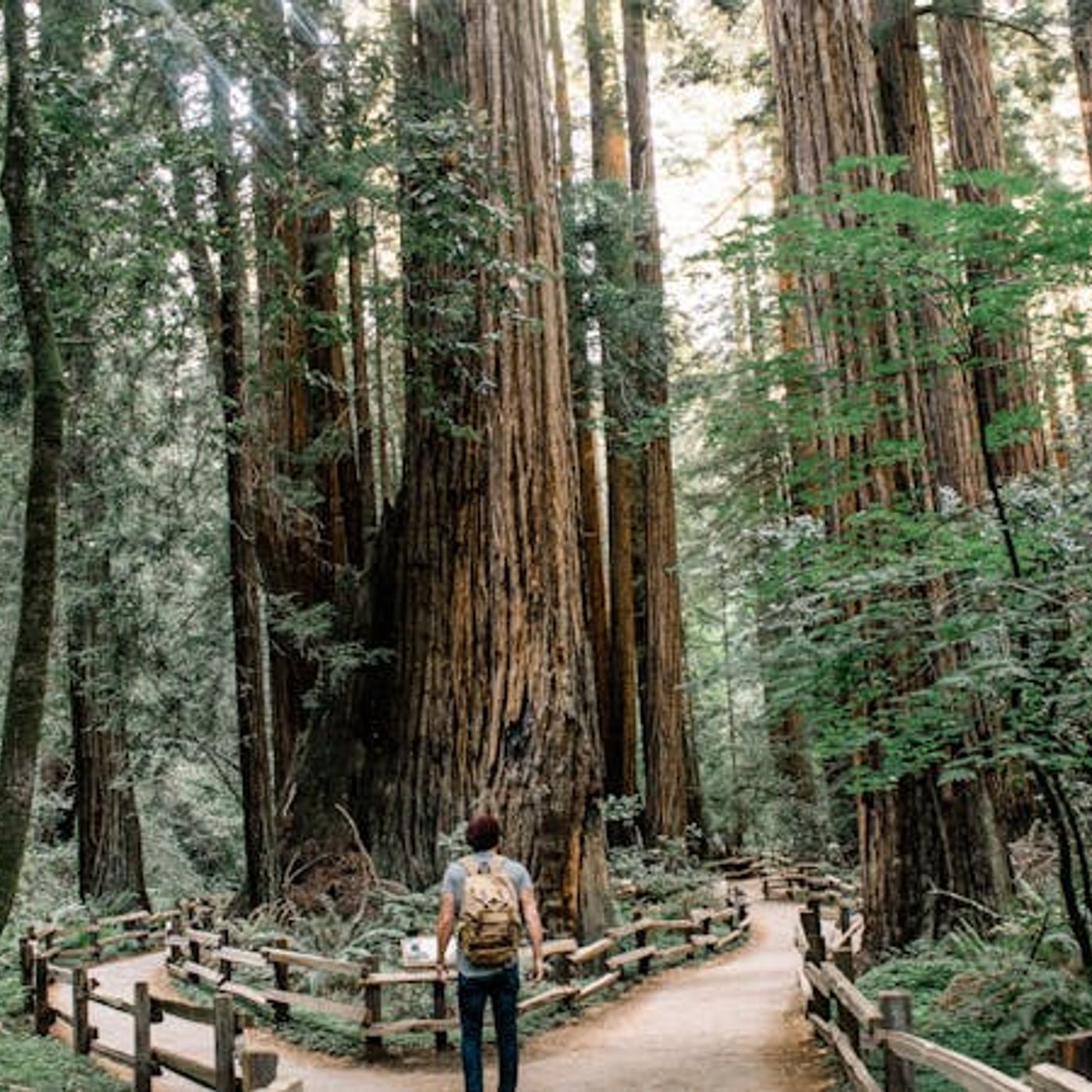 How Do I Follow God’s Will in the Face of Two Good Options?