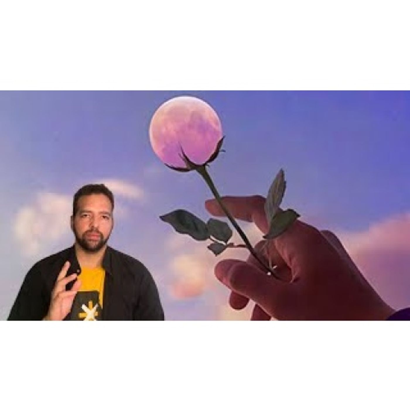 Peace is What Experiences Life - How to Find Peace