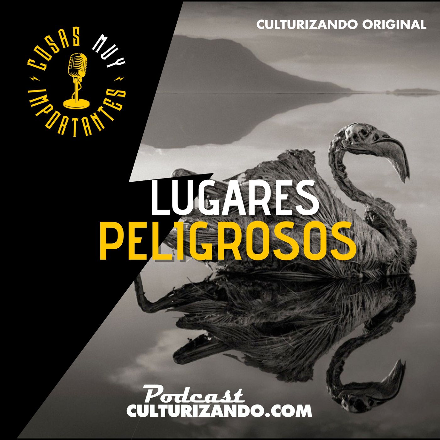 Cosas muy importantes • Historia Curiosa
