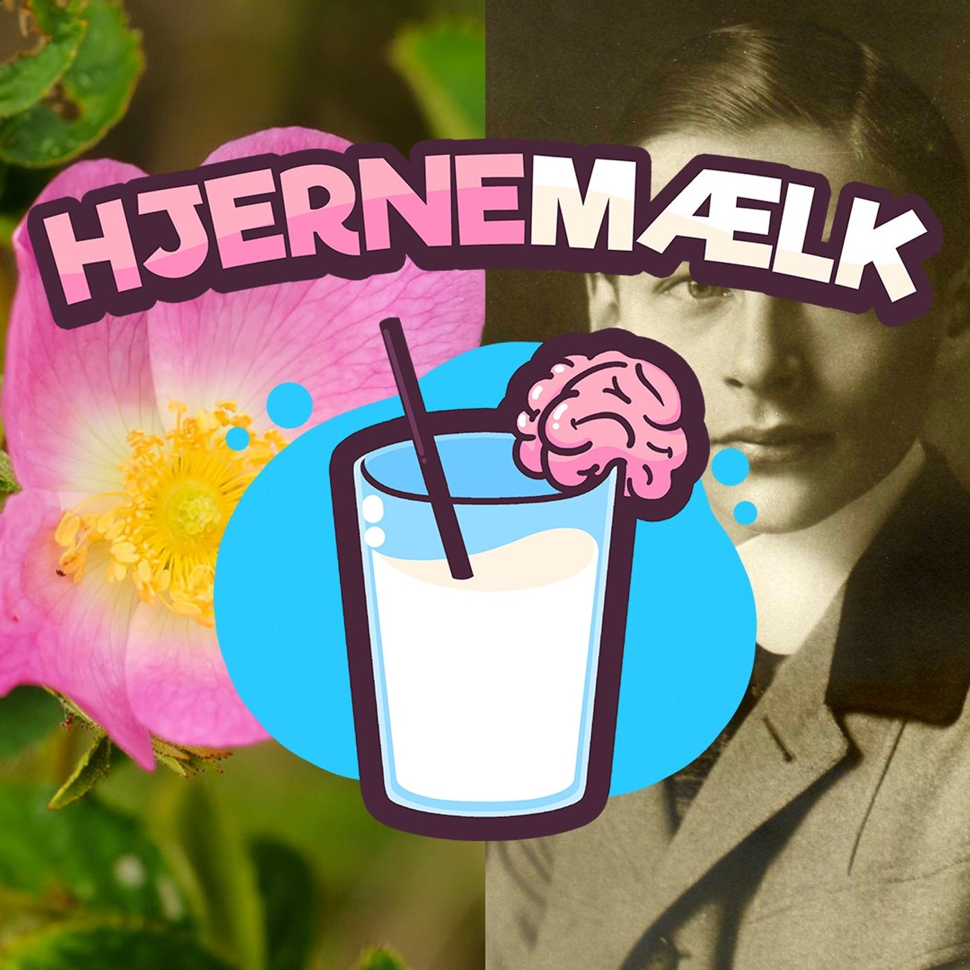 Hjernemælk