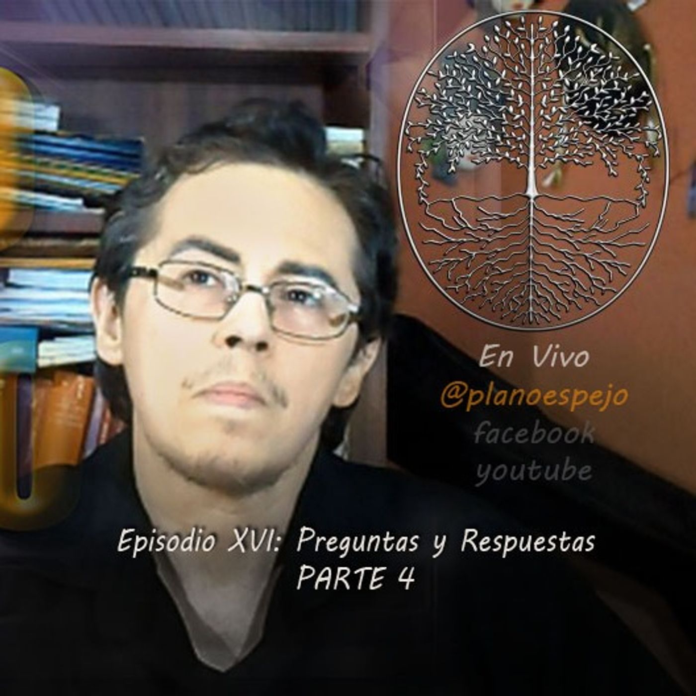 Plano Espejo: Develando lo Oculto