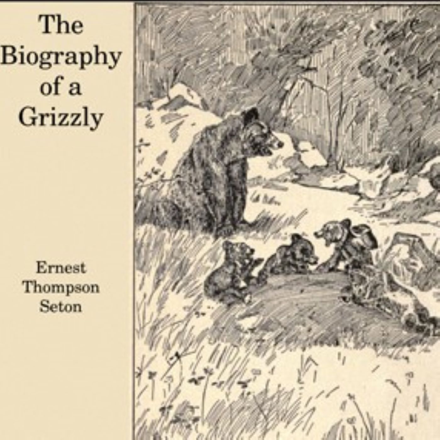 Novel to aid sleep