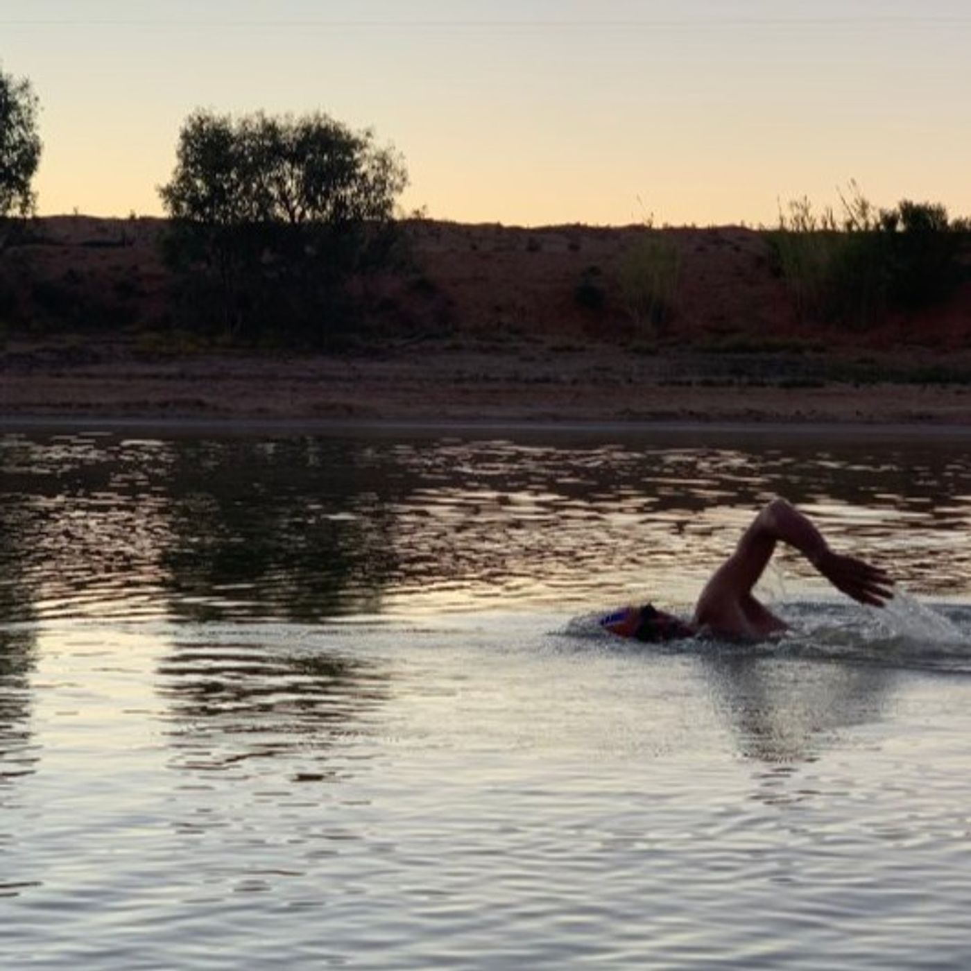 SWIMMING WITH THE POD