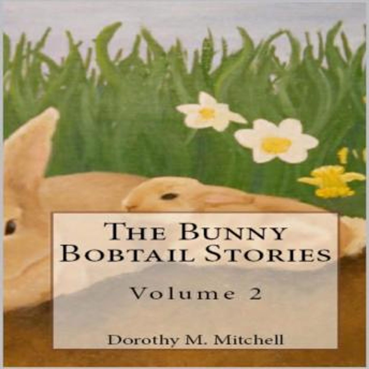 The Bunny Bobtail Stories by Dorothy M. Mithchell episode artwork