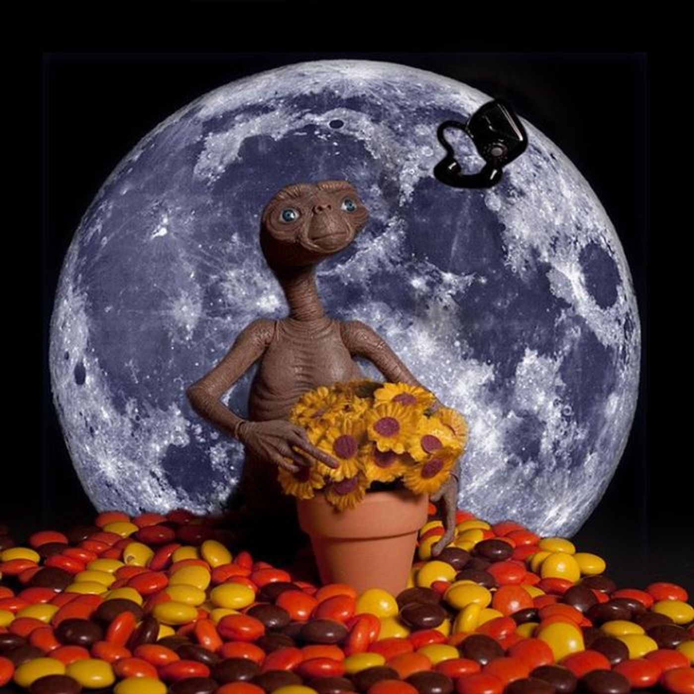 ROCKOLLECTIONS: PRODUCT PLACEMENT PT.1 ROCKOLLECTIONS: PRODUCT PLACEMENT PT.1