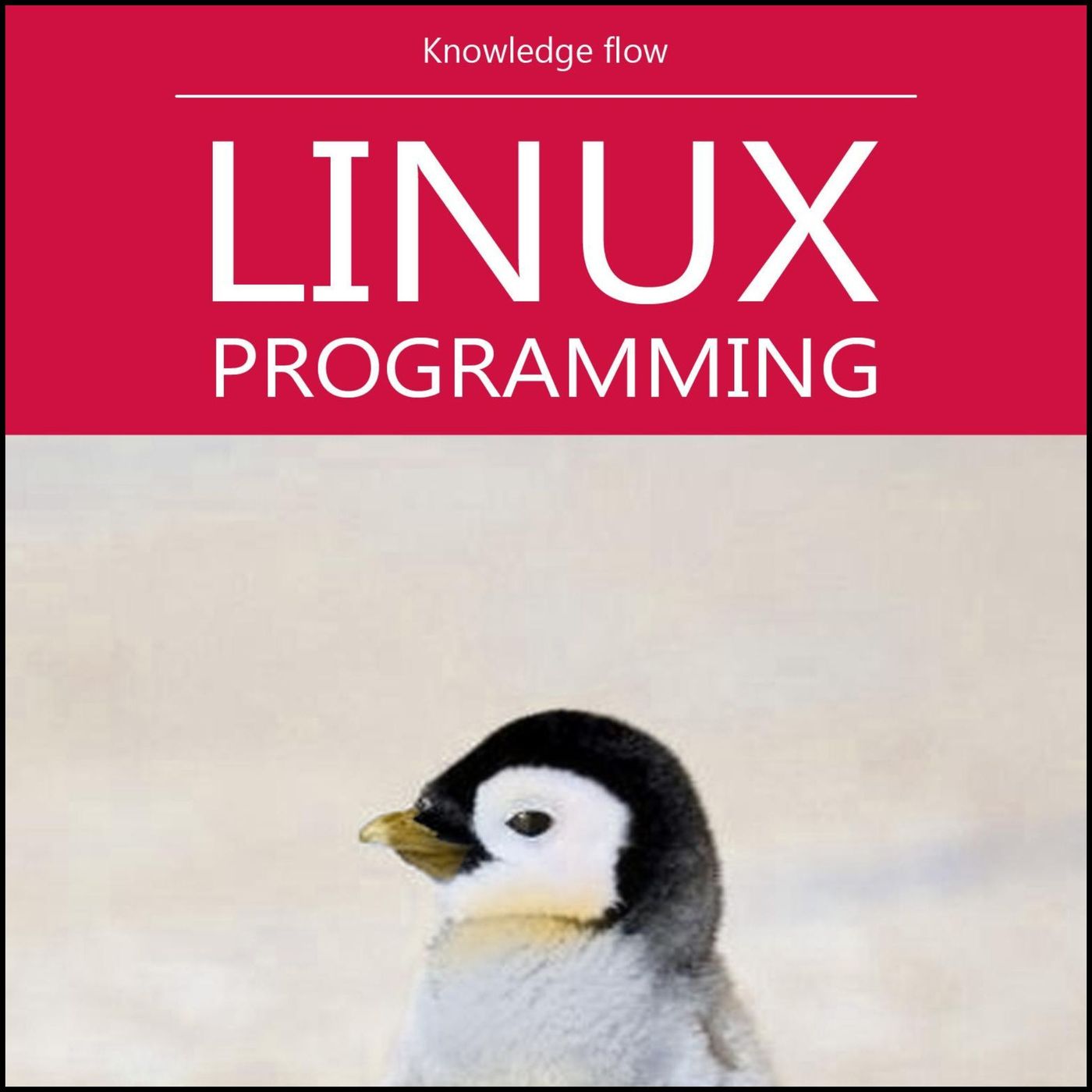Beginning Linux Programming Podcast