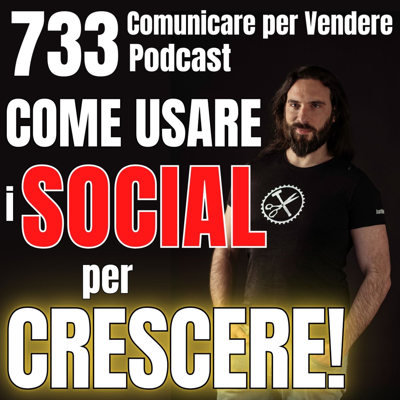 733 - Come usare davvero i Social per crescere con la tua Azienda episode artwork