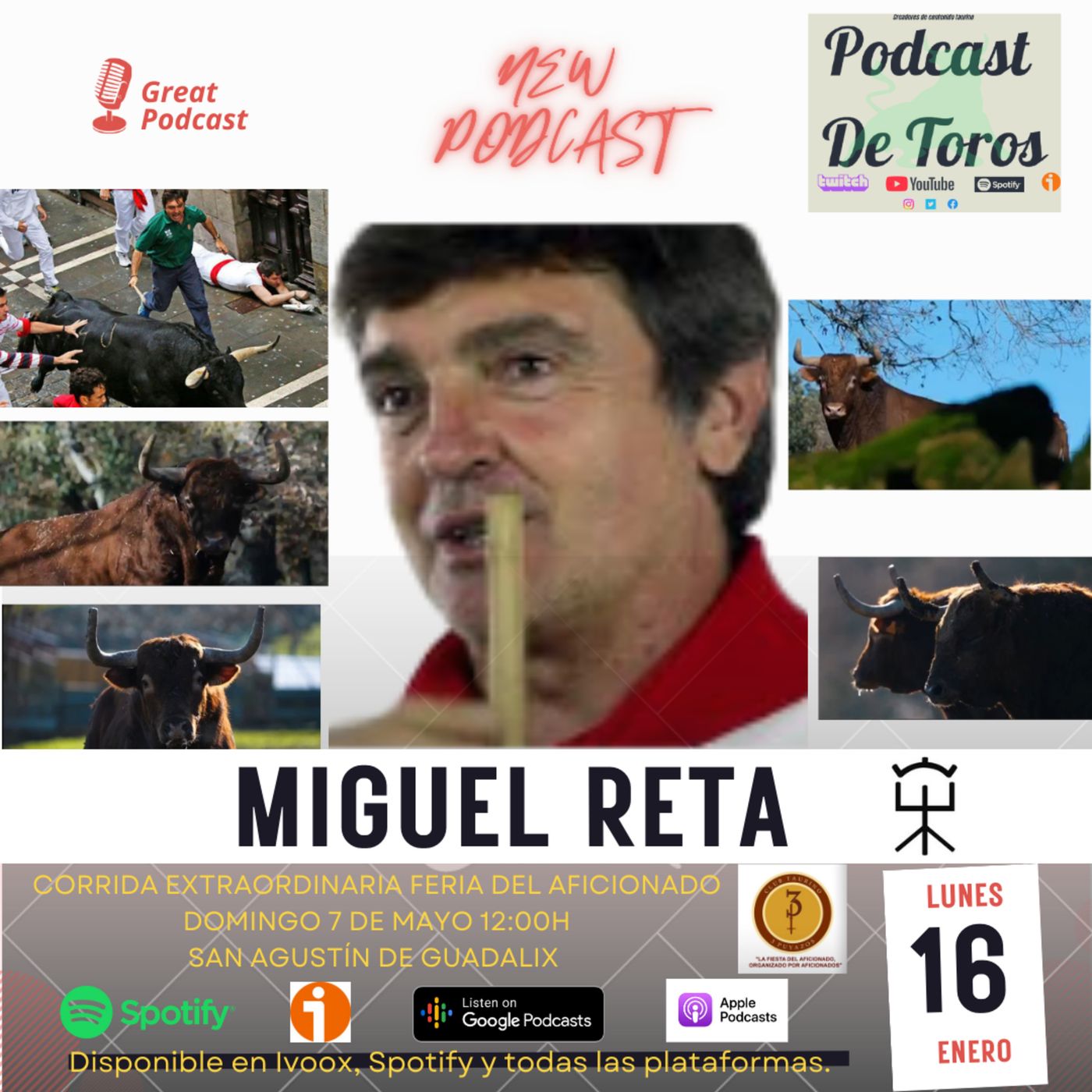 DE TOROS