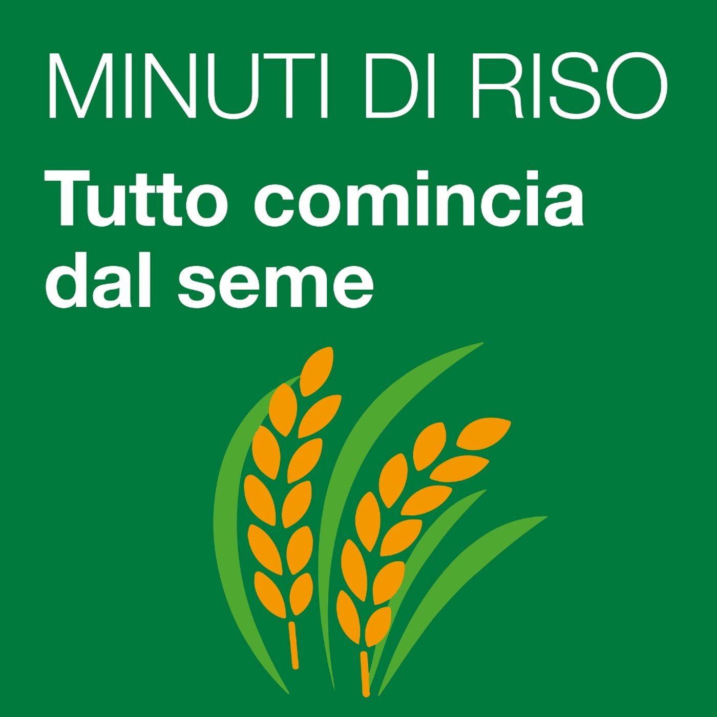 MINUTI DI RISO