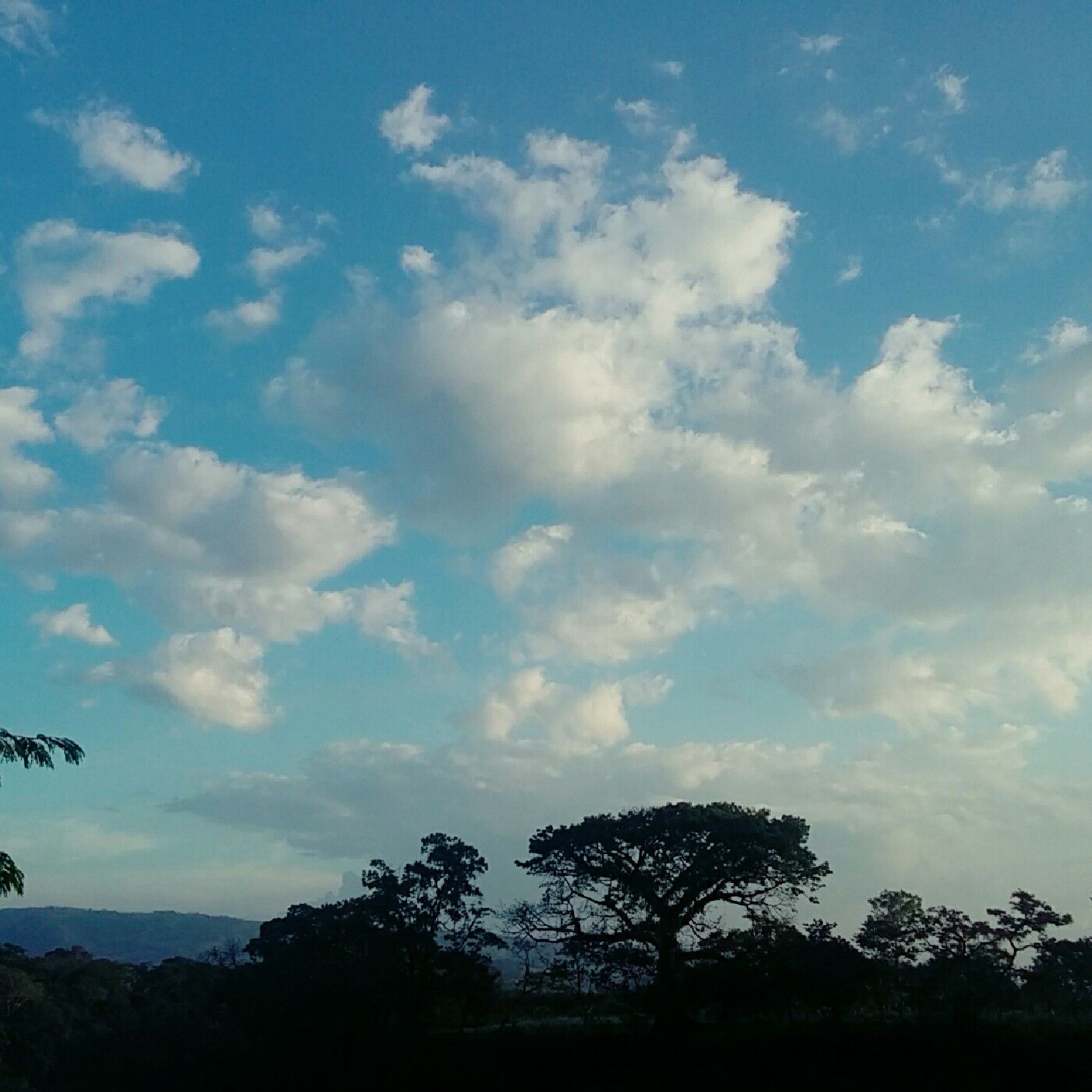 Reflexiones Del Corazón