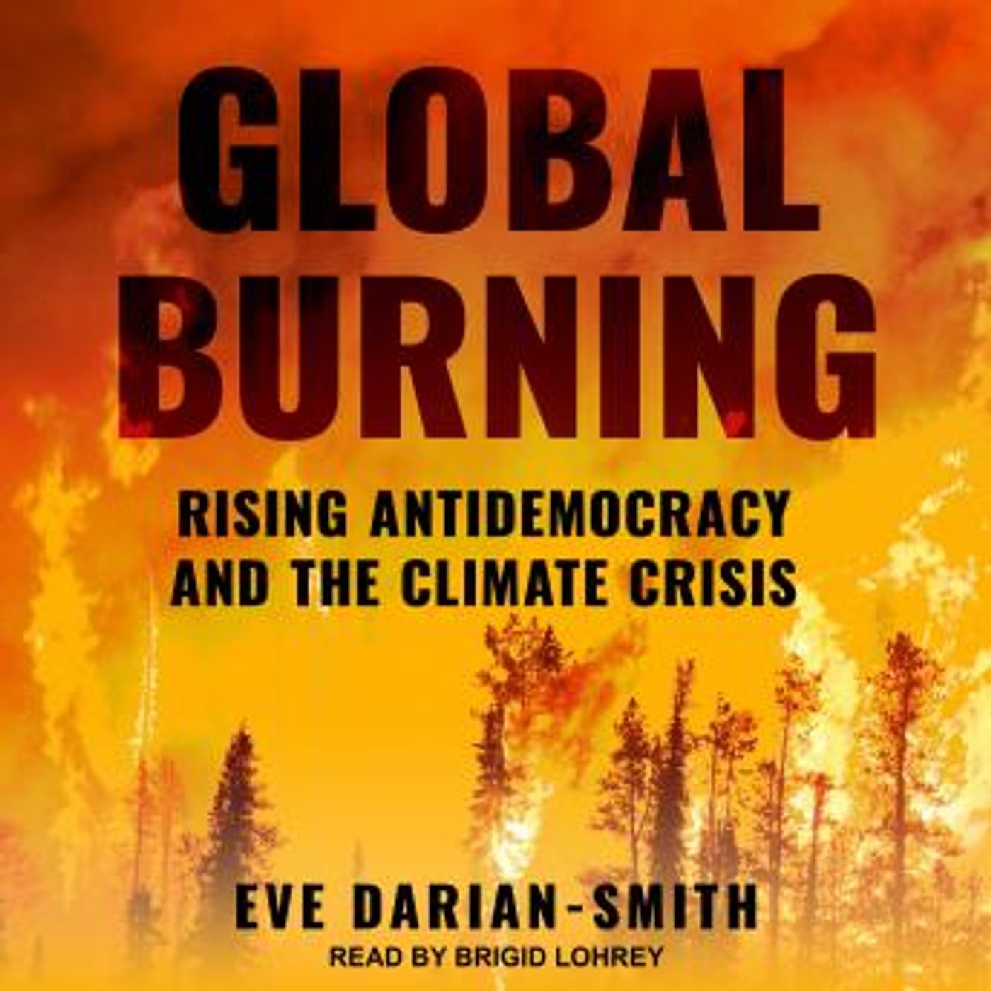 Full Audiobooks in Non-Fiction, Current Affairs, Law, & Politics