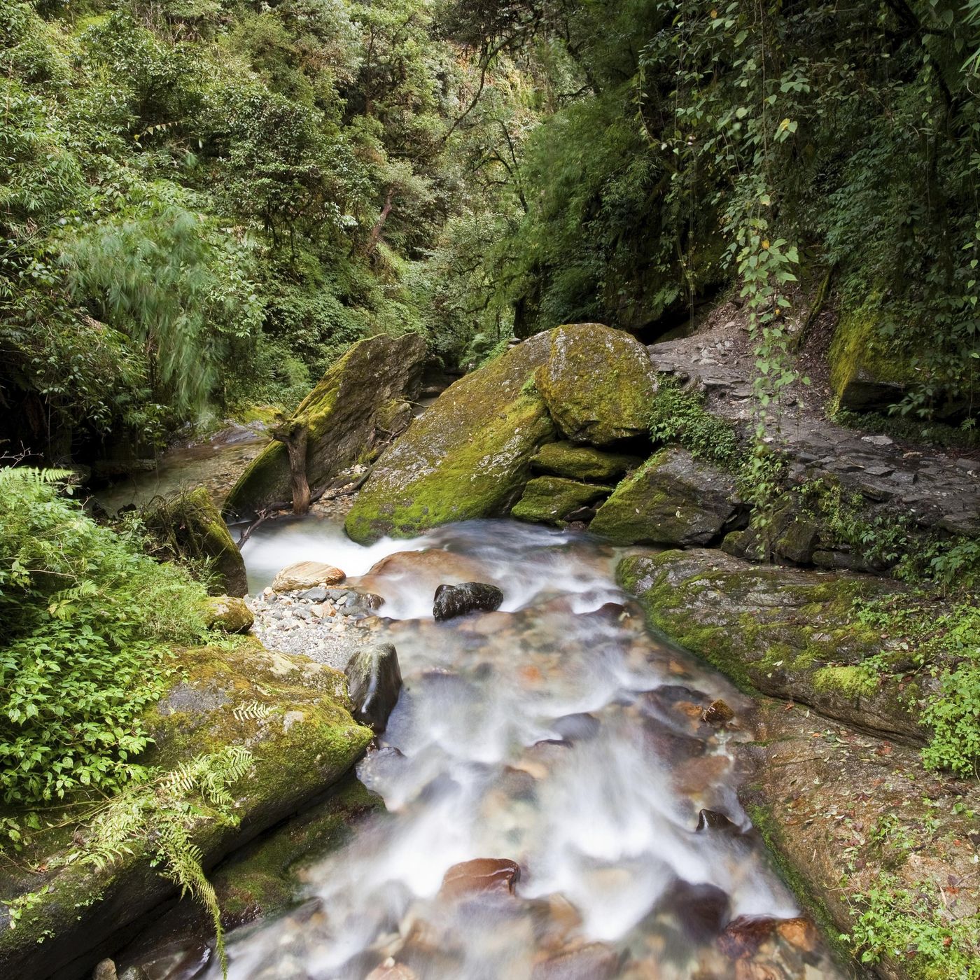 Peruvian Stream - 10 Hours Sleep Sound