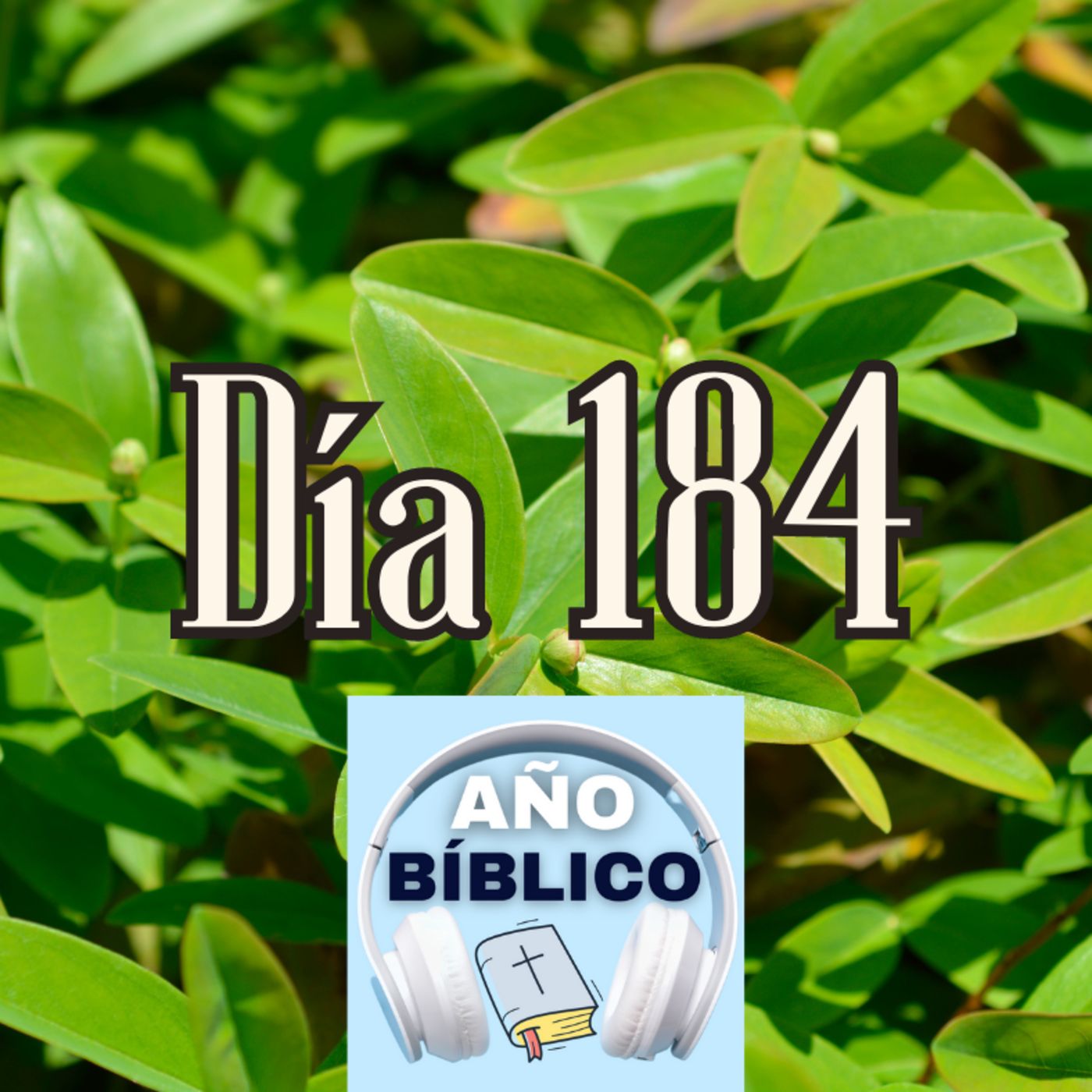 Día 184 - Salmos 78:17-31, 1 Crónicas 24-25 y Romanos 6:12-23 episode artwork