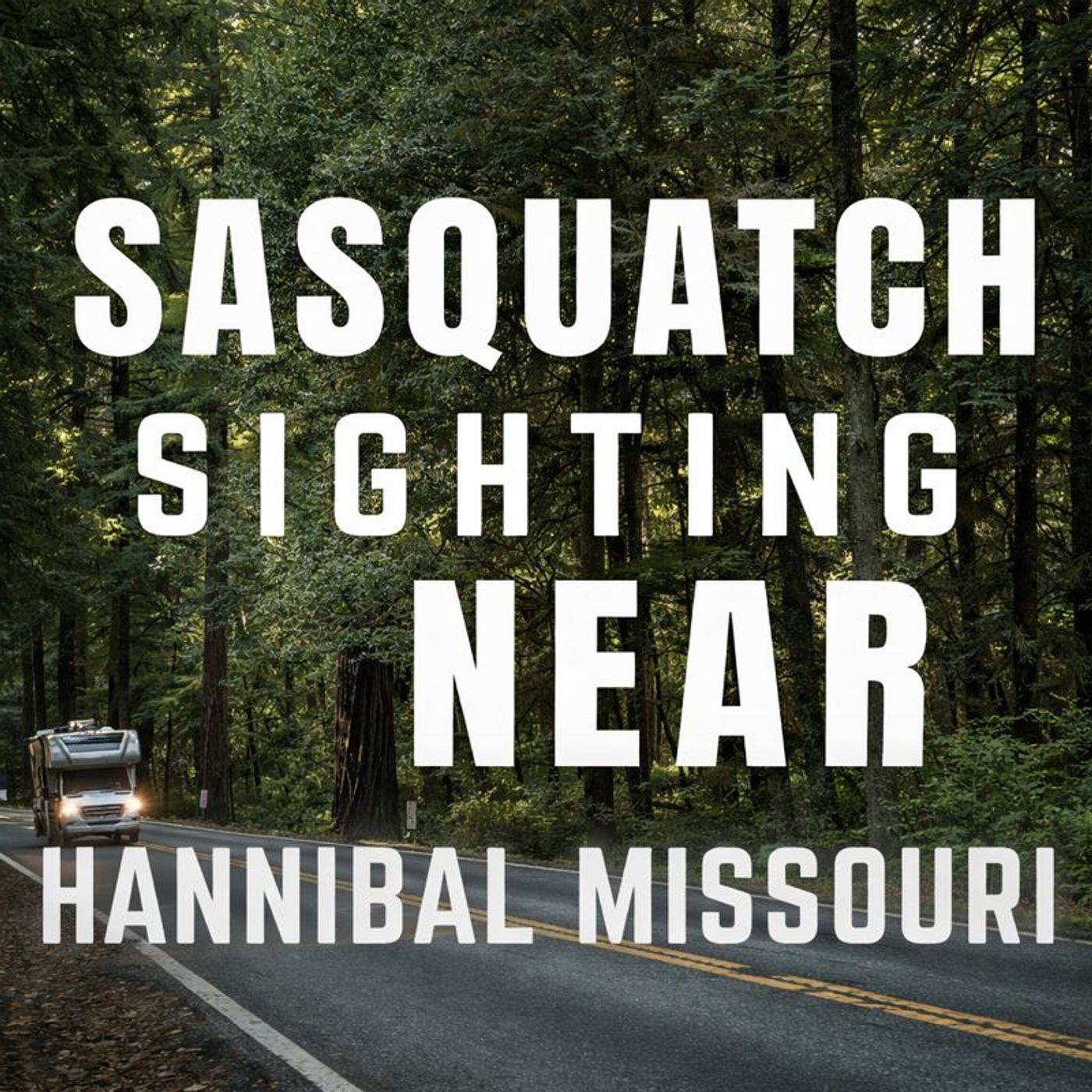 WHITE BIGFOOT SEEN NEAR HANNIBAL MISSOURI BY THE MISSISSIPPI RIVER!