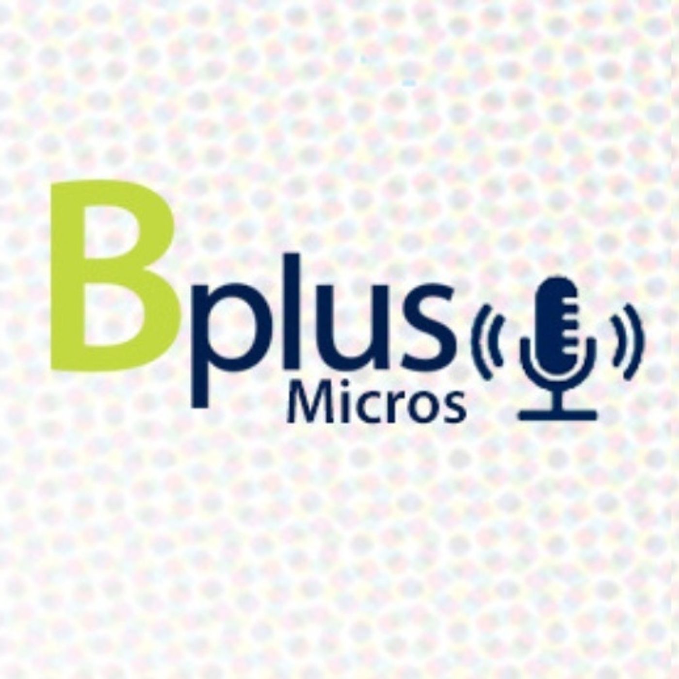 Micros Financieros Bplus