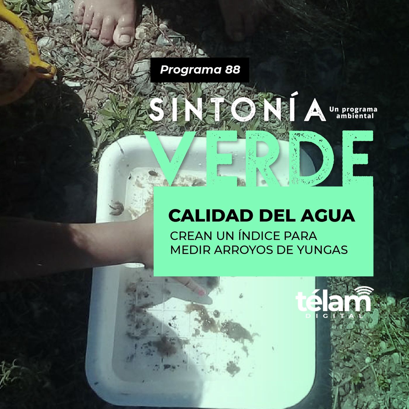 cover of episode Calidad del agua: Crean un índice para medir arroyos de Yungas