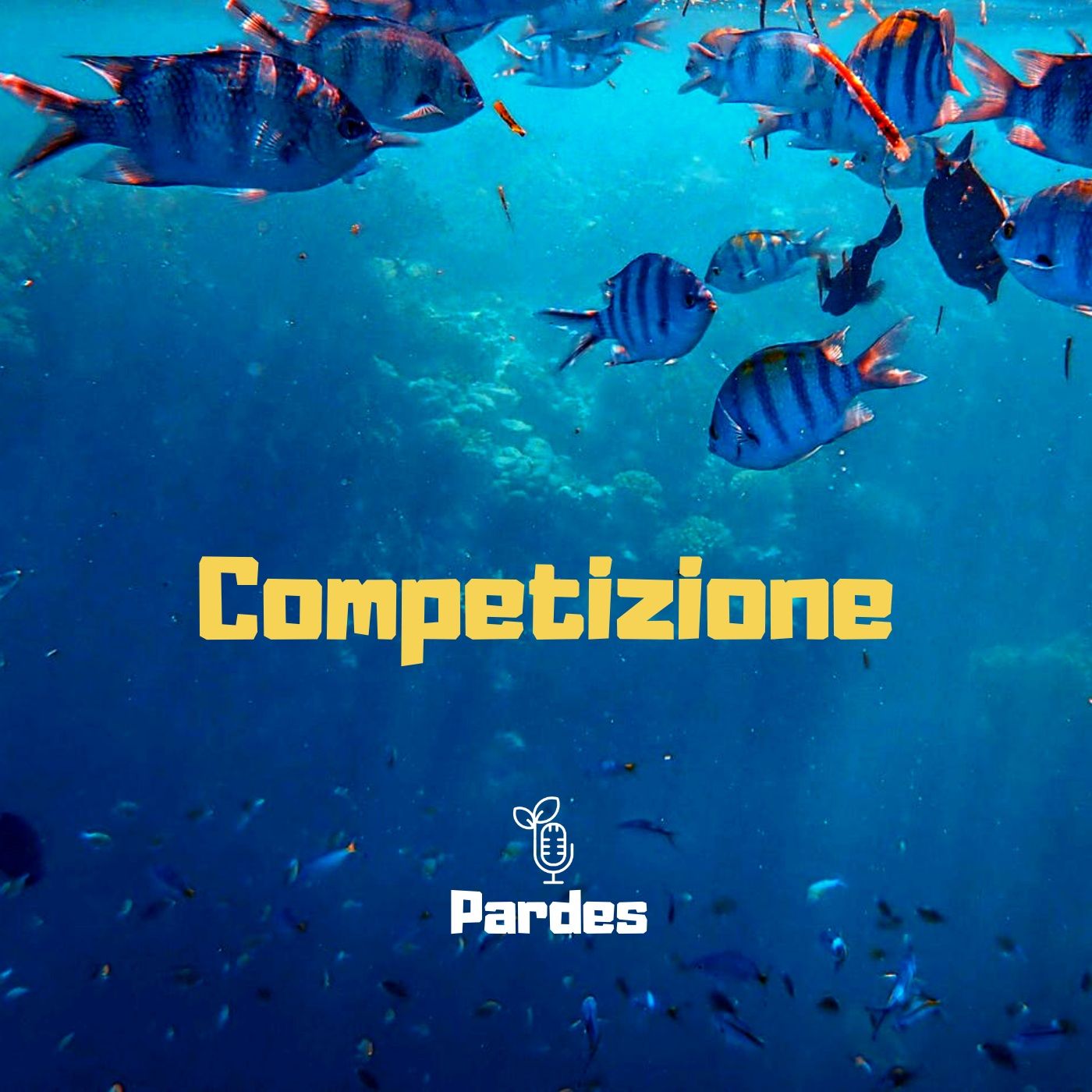 PARDES 083 - f - Competizione