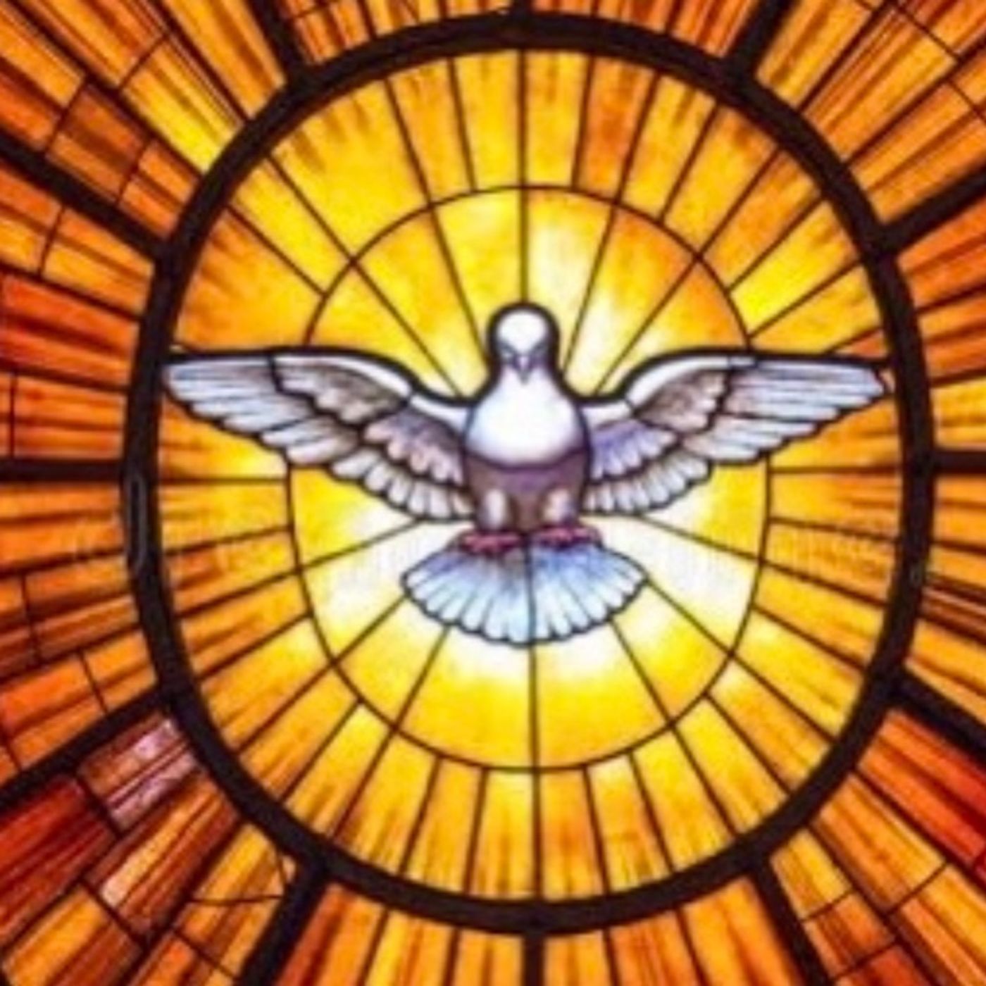 ¡Ven Espíritu Santo! Homilía Vigilia de Pentecostés episode artwork