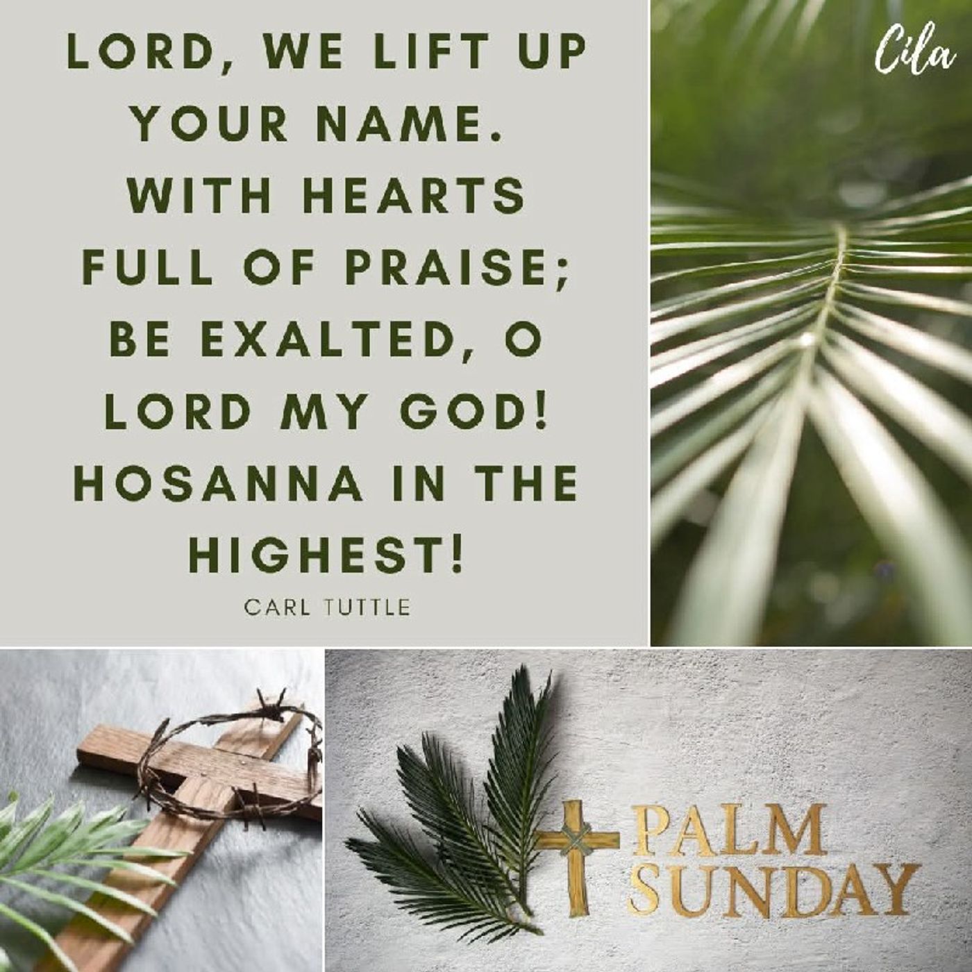 Palm Sunday 2025 Episode 395 - Andrew's podcast
