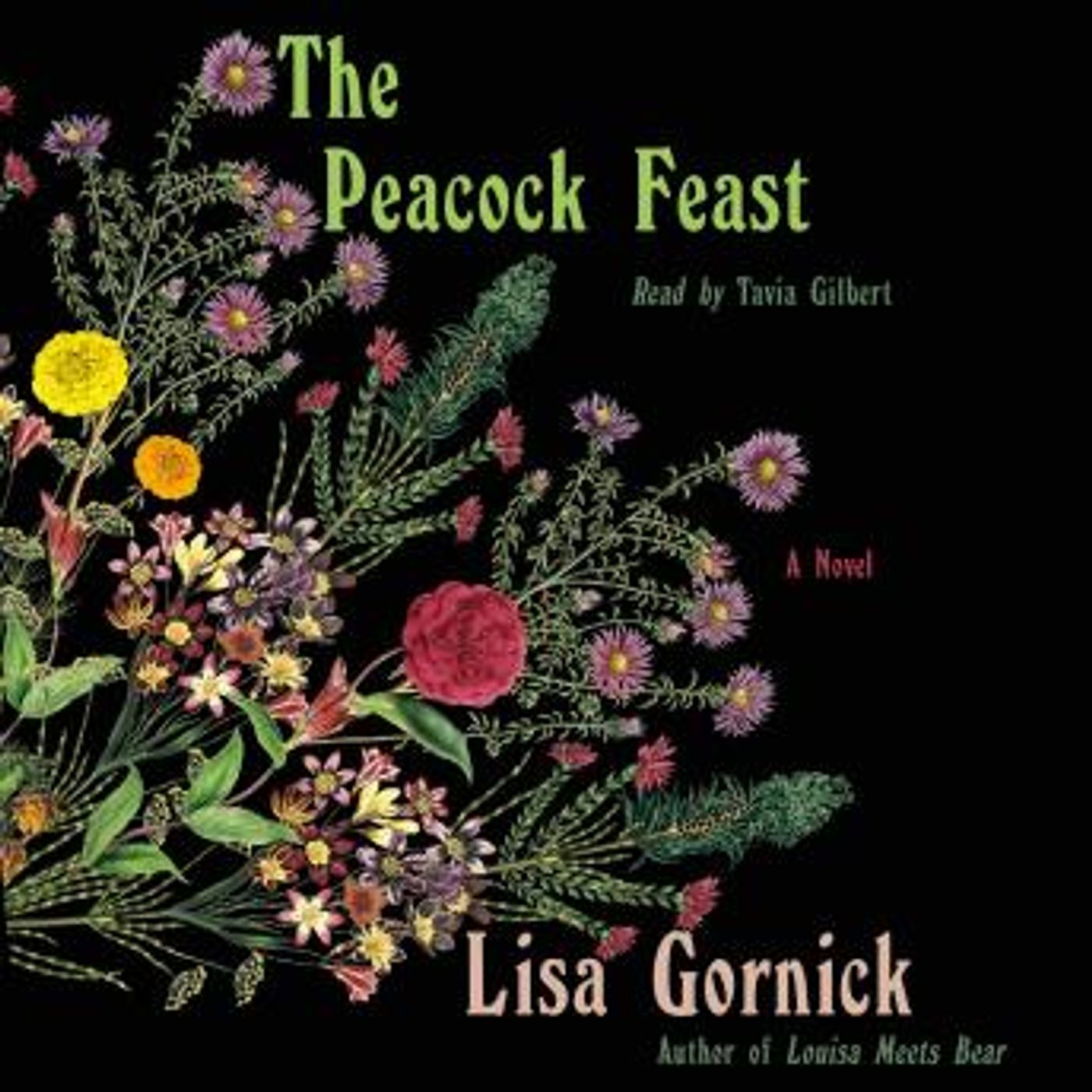 Discover Top Full Audiobooks in Fiction, Drama