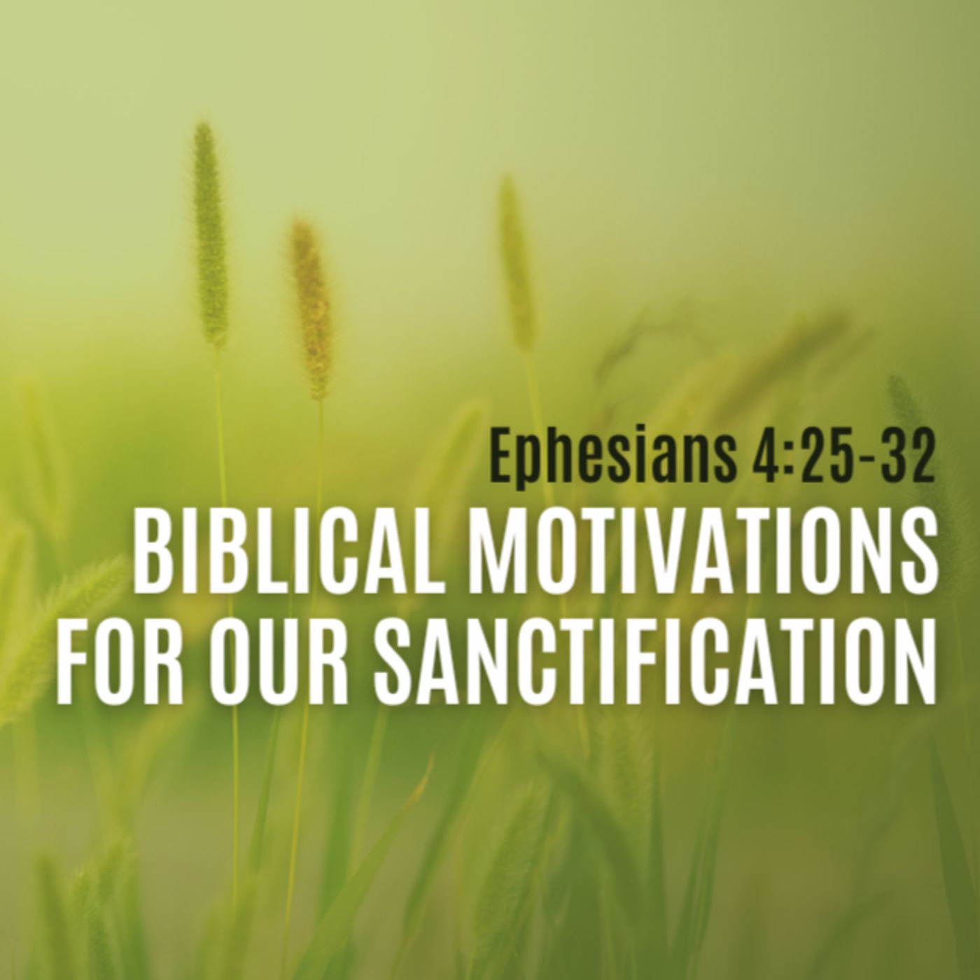 Biblical Motivations for Our Sanctification (Eph. 4:25-32) episode artwork