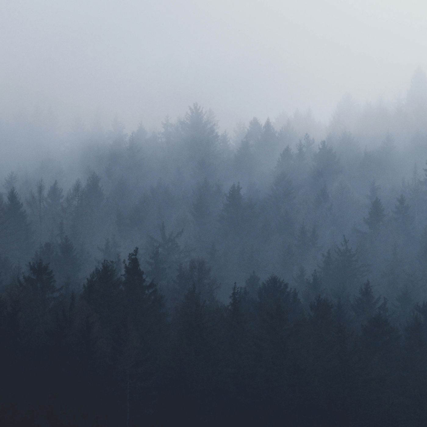 THROUGH THE FOG, addictions podcast artwork
