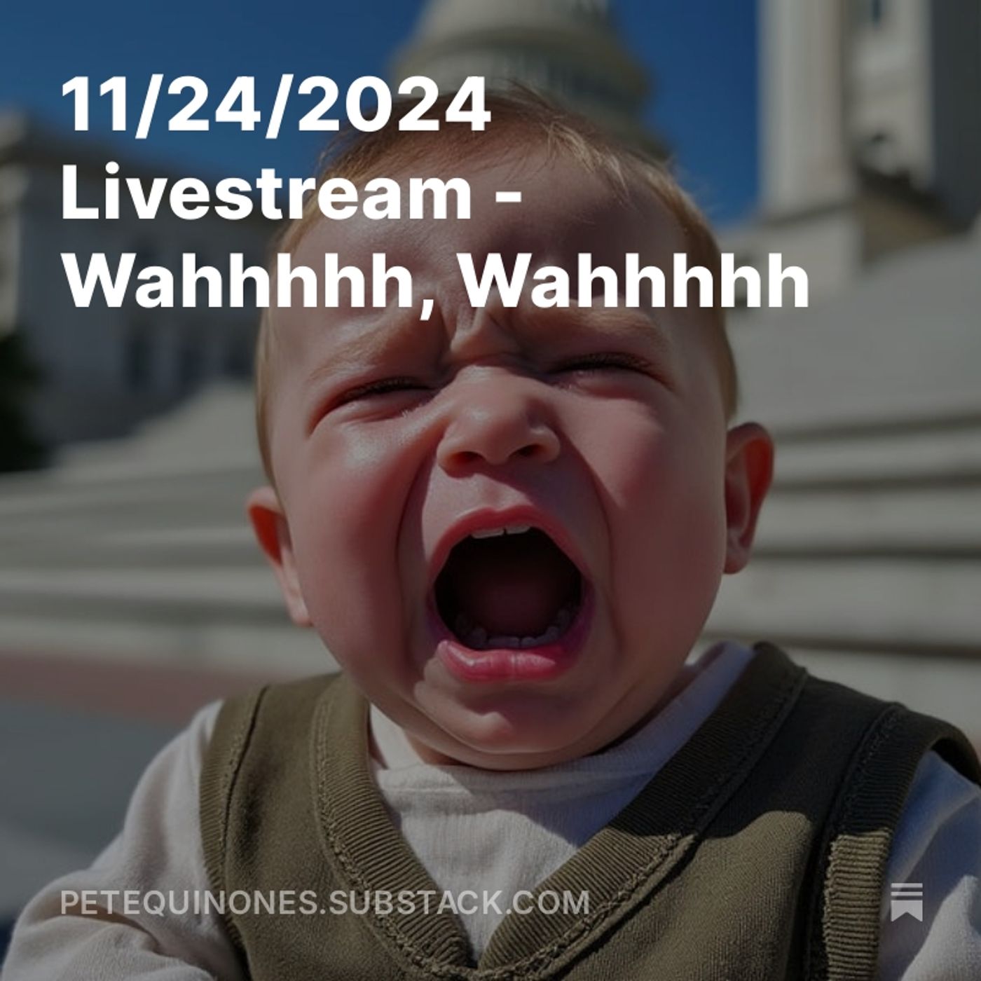11/24/2024 Livestream - Wahhhhh, Wahhhhh