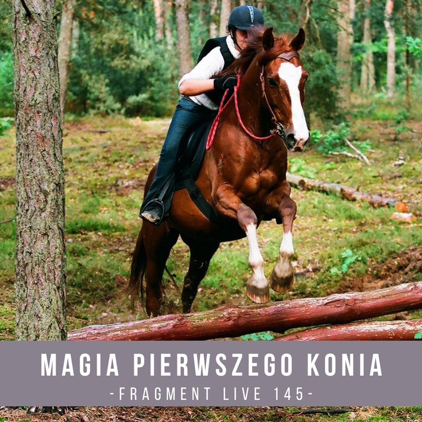 Magia pierwszego konia - fragment live 145 episode artwork